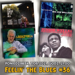#36 | Feelin' The Blues | Sławek Wierzcholski, Junior Wells, Big Joe Williams i inni