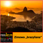 #216 | Kolory Materii | Zimowa "brazyliana"  
